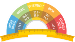 Body Mass Index Online Calculator