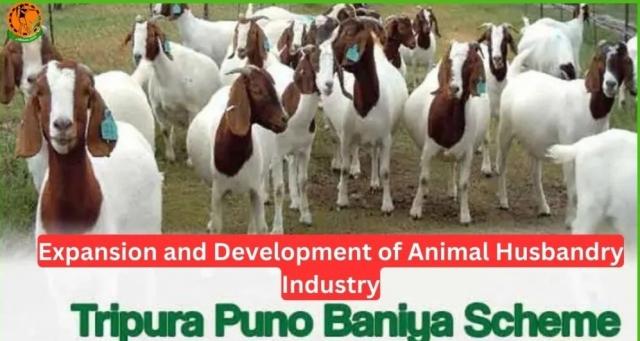 Tripura Puno Baniya Scheme 2024 Registration, Benefits, Eligibility